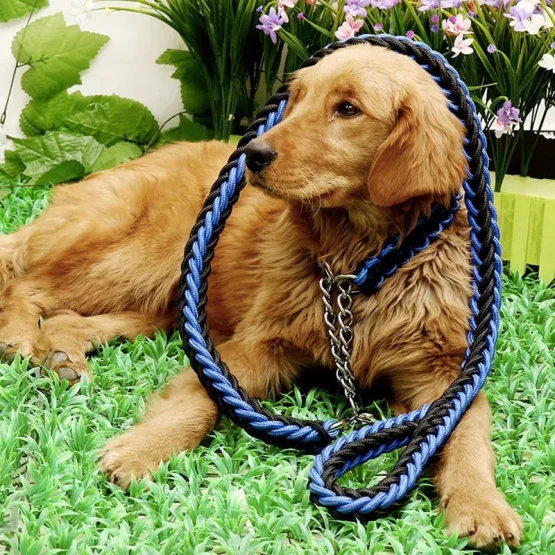 Λουρί & κολάρο σκύλου ΜΑΥΡΟ – Dog leash 1,60m - Image 3