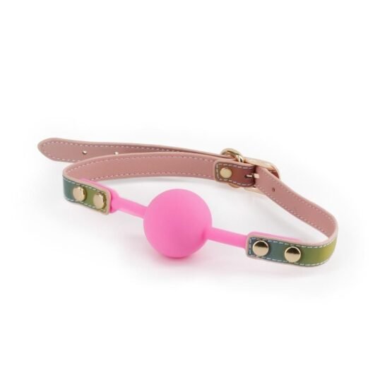 Spectra Bondage - Ballgag - Rainbow - Image 2