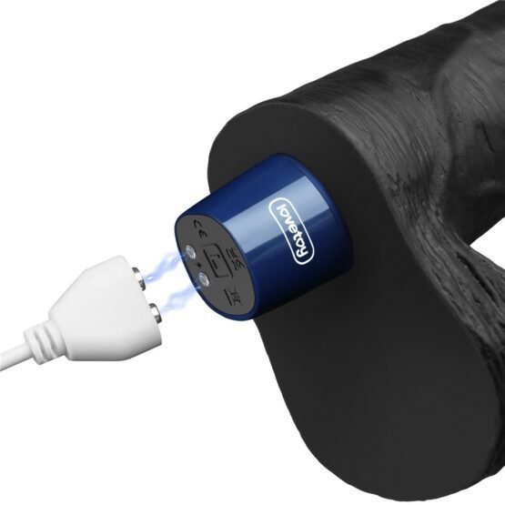 9" REAL SOFTEE Rechargeable Vibrating Dildo(Black) - Image 5