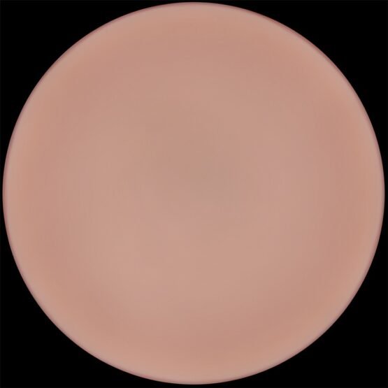 9'' Sliding Skin Pro II Dual Layer Silicone Dong - Image 7