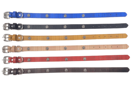 Περιλαίμιο - Κολάρο σκύλου - 2x46cm - 12pcs - 550185