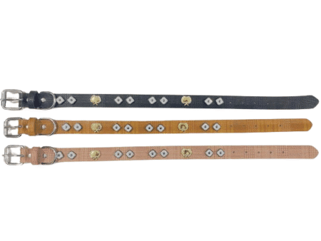 Περιλαίμιο - Κολάρο σκύλου - 2x46cm - 12pcs - 550191