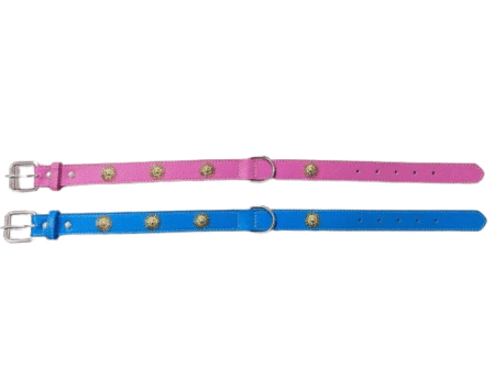 Περιλαίμιο - Κολάρο σκύλου - 3x56cm - 12pcs - 550198