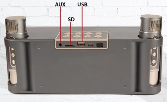 Ασύρματο ηχείο Bluetooth με 2 μικρόφωνα Karaoke - YS215 - 887271 - Grey - Image 2