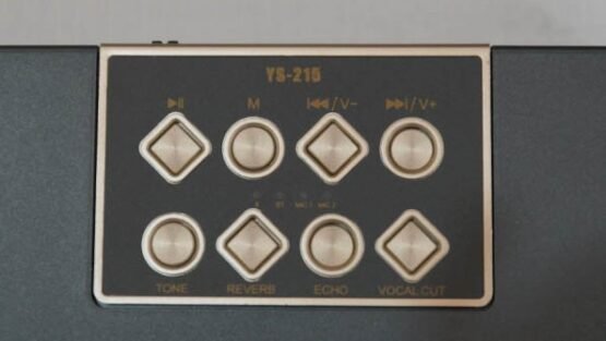 Ασύρματο ηχείο Bluetooth με 2 μικρόφωνα Karaoke - YS215 - 887271 - Grey - Image 4