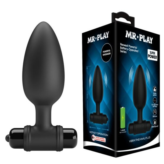 Mr. Play Vibrating Anal Plug VI - Image 2