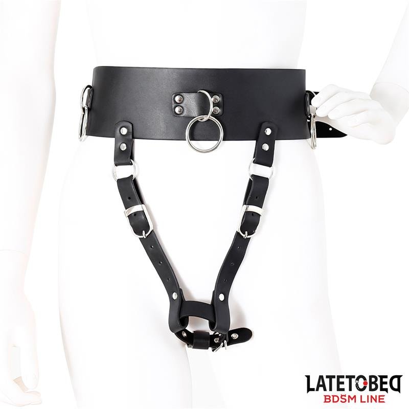 Adjustable Female Chastity Belt - Image 2