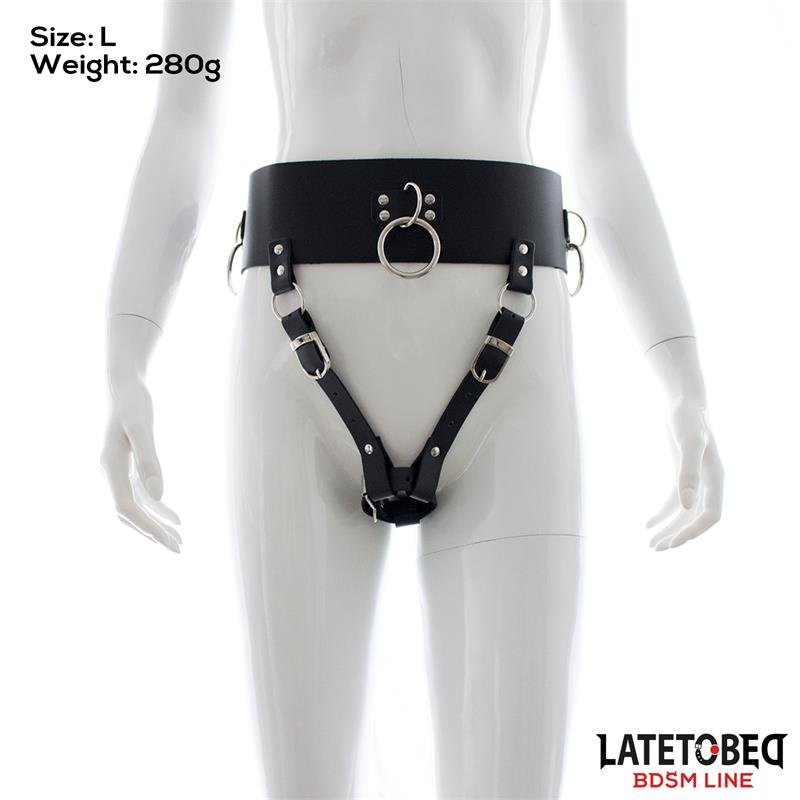 Adjustable Female Chastity Belt - Image 3