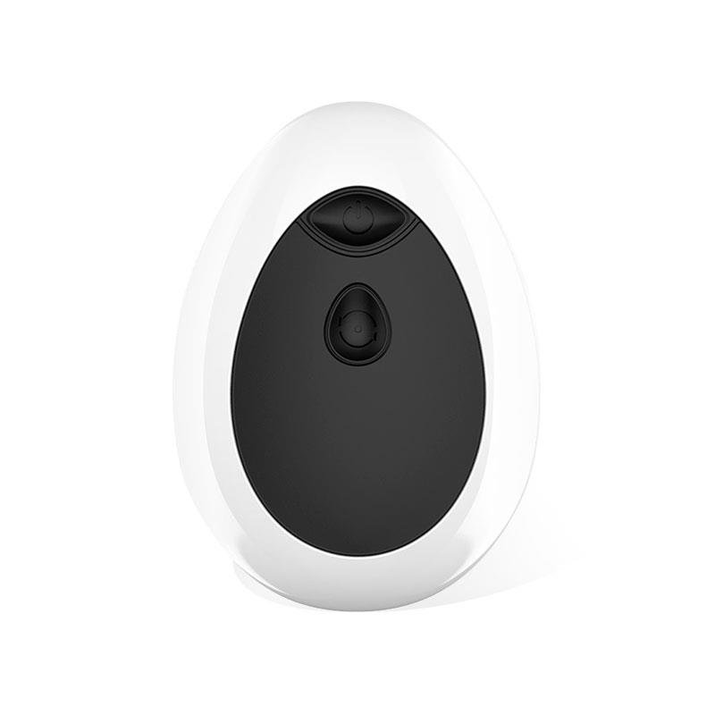 Dwen P-Spot Vibrator USB with Remote Control - Image 3