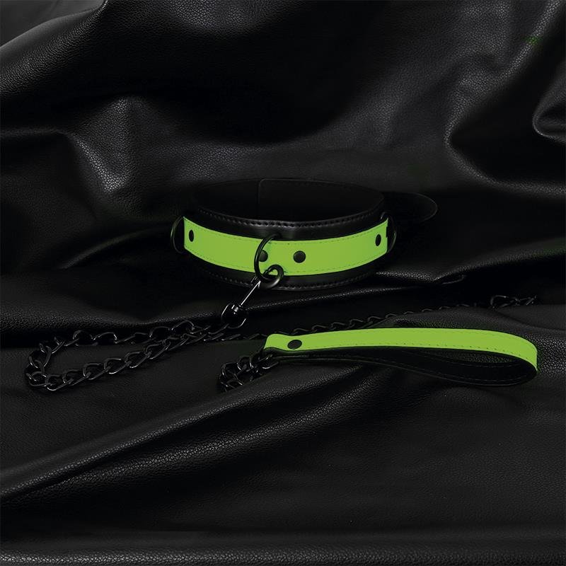 Glow in the Dark Collar with Leash - Image 2