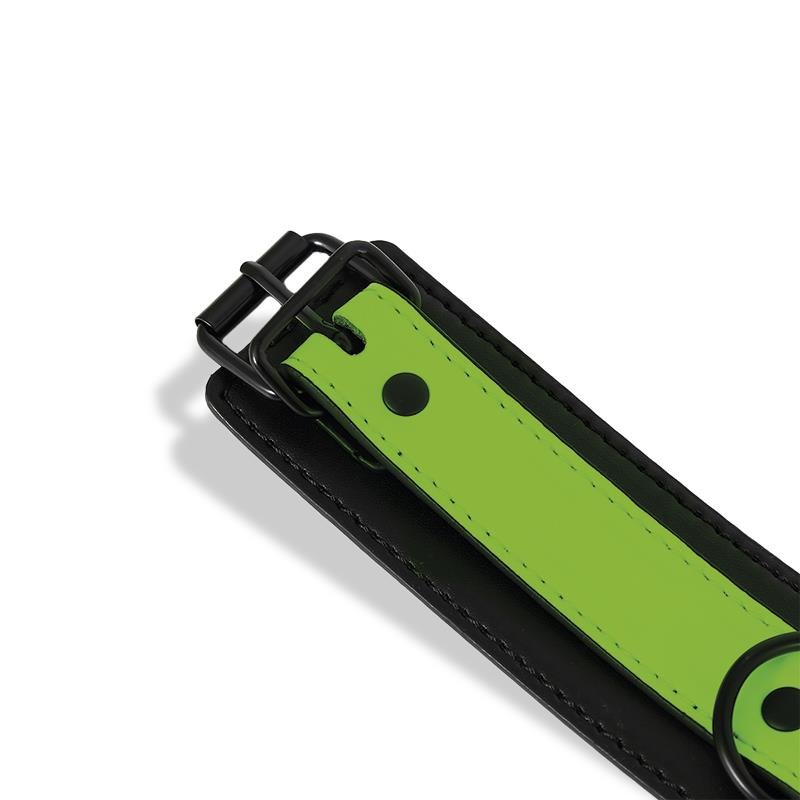 Glow in the Dark Collar with Leash - Image 7
