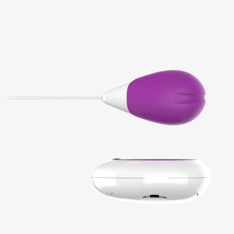 Vibrating Egg with Remote Control USB Purple - Image 3