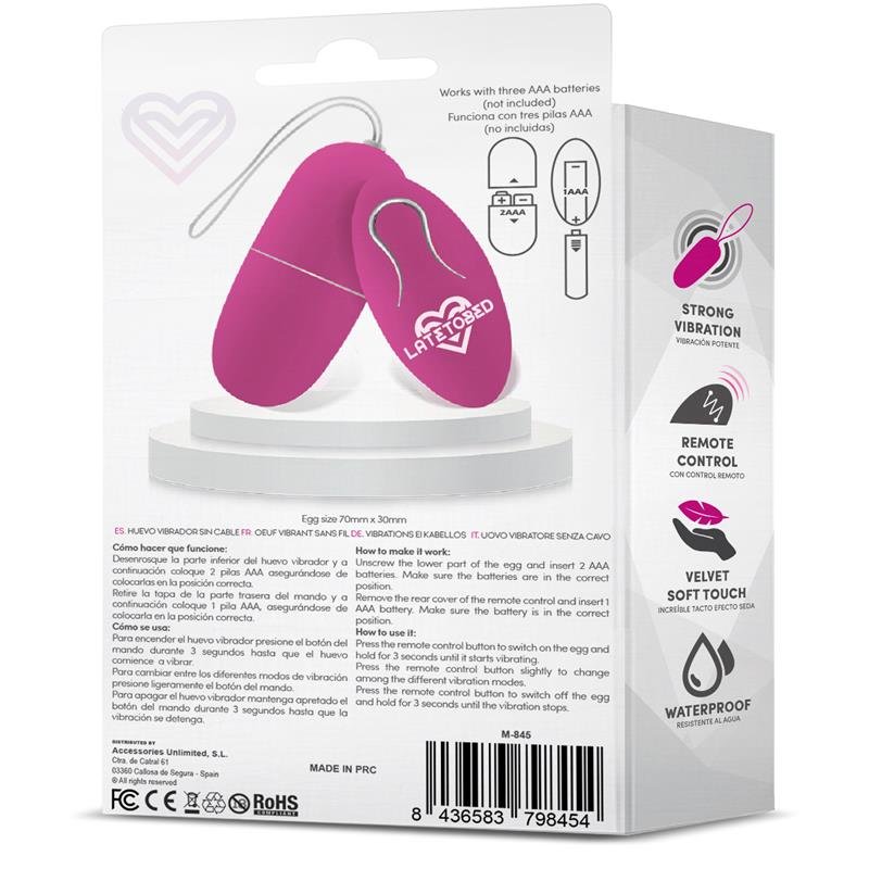 Ecopurple Vibrating Egg with Remote Control - Image 3