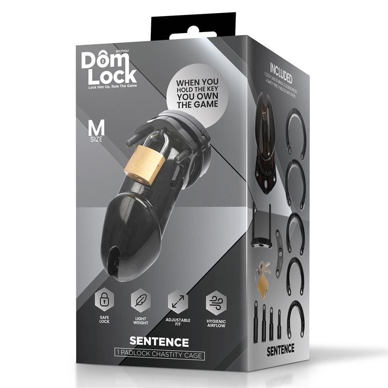 Sentence Chastity Cage Size M - Image 5