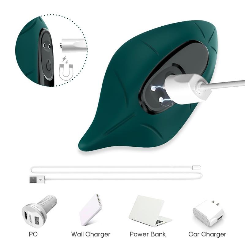 Panty Vibrator - Image 10